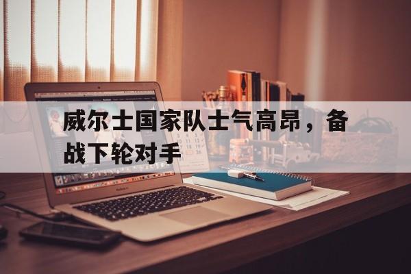 IM电竞官网-威尔士国家队队长是谁